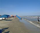 Galveston beach with cars parked right on the beach.